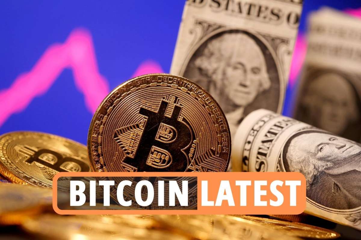 Bitcoin price news LIVE – Bitcoin and Ethereum volatile as banks go ‘to war’ on crypto after Elon Musk backs dogecoin
