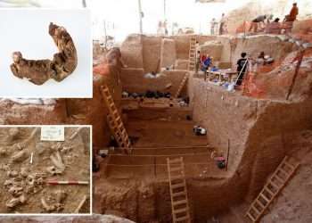 Bones of LOST ‘ghost human’ species that lived alongside us 120,000 years ago found