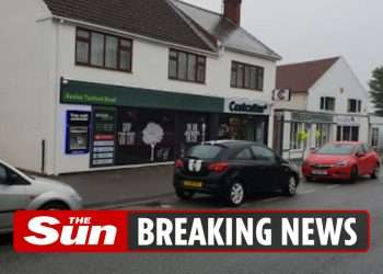 Urgent search for blonde girl, 5, in ‘Disney onesie’ seen wandering by herself at midnight