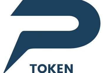 Pylon Eco Token, DeFi Governance Deflationary project with plenty of ecosystems for mass crypto adoption globally