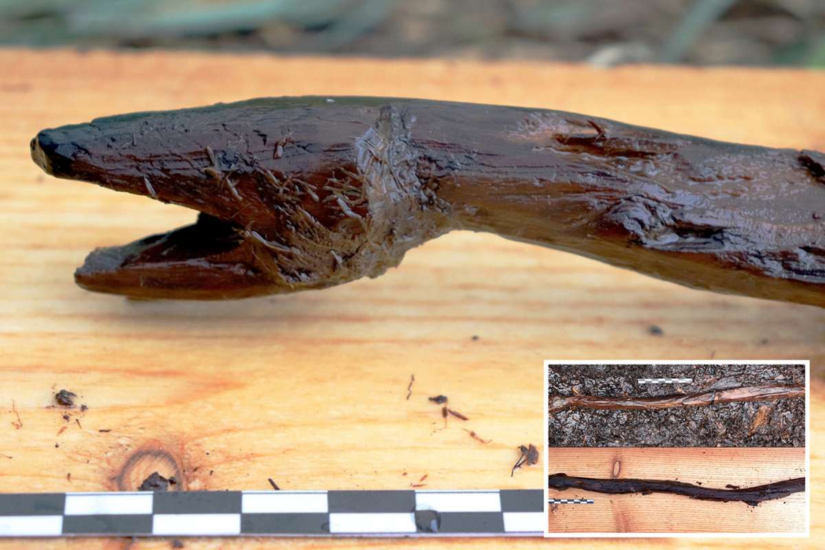 Ancient shaman staff shaped like a viper and ‘used to cast mystical spells’ dug up after 4,400 years