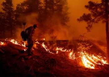 Climate catastrophe as huge UN report warns 1.5C limit WILL be hit in next 20 years