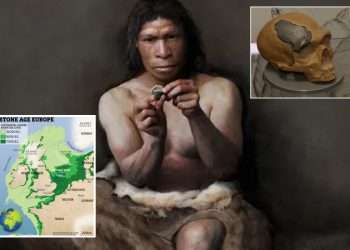 Lost world of ‘Britain’s ATLANTIS’ revealed – as artefacts from sunken nation Doggerland appear after 10,000 years