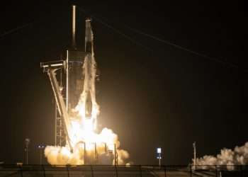 SpaceX launches ants, avocados and robots to the ISS aboard recycled Falcon rocket