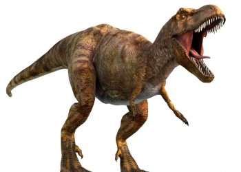 T-Rex was far from speedster shown in Jurassic Park films – waddling along at 2.9mph, say scientists