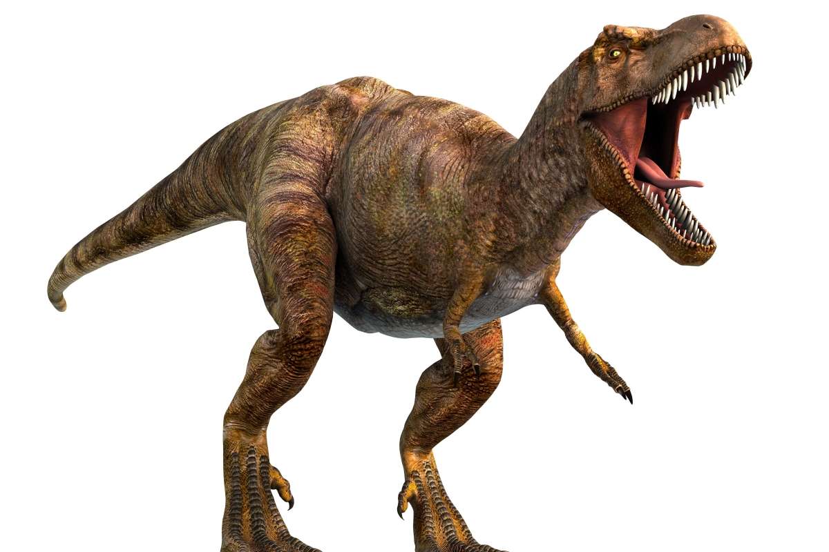 T-Rex was far from speedster shown in Jurassic Park films – waddling along at 2.9mph, say scientists
