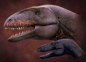 New shark-toothed dinosaur as big and ferocious as a T-Rex discovered by scientists