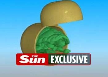 Scientists show off precision of new £1.5million fossil X-ray scanner — by testing it on Kinder Surprise
