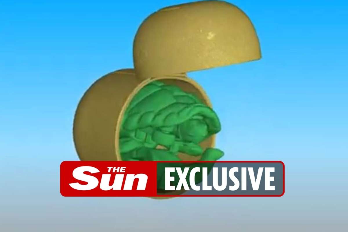 Scientists show off precision of new £1.5million fossil X-ray scanner — by testing it on Kinder Surprise