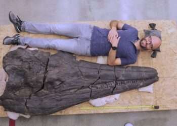 Giant 60ft prehistoric sea monster’s head is as long as a full-grown man