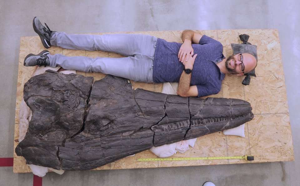 Giant 60ft prehistoric sea monster’s head is as long as a full-grown man