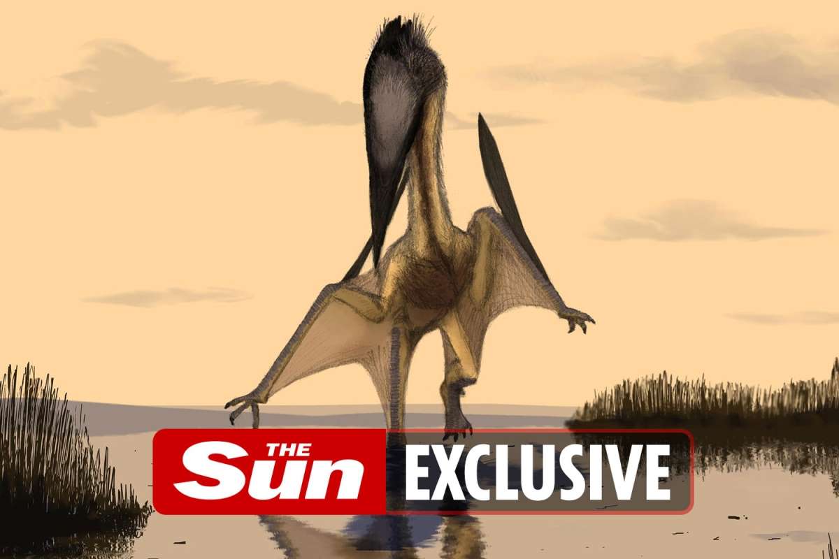 Dinosaurs swallowed their prey whole and spat out their bones, scientists say