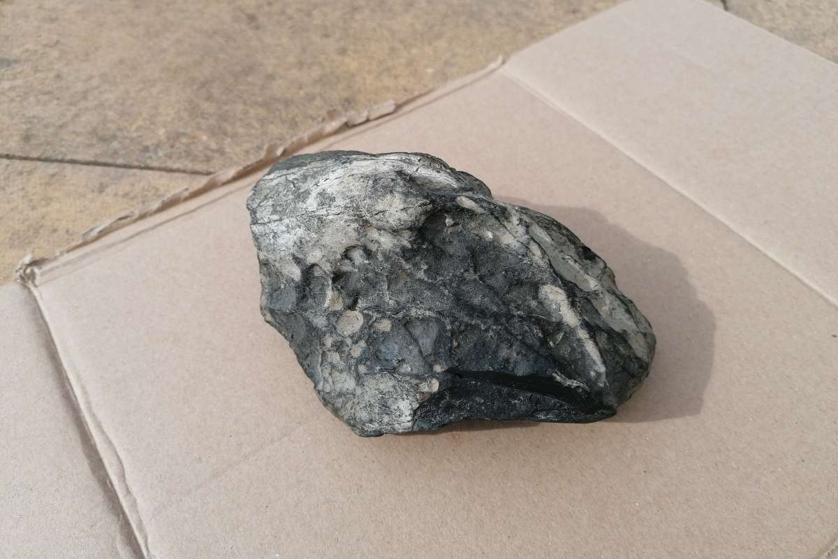 Dad finds 2lb 40z meteorite worth ‘£100,000’ in a farmer’s field