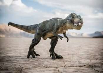 T-Rex developed tiny arms to stop them getting bitten off by rivals