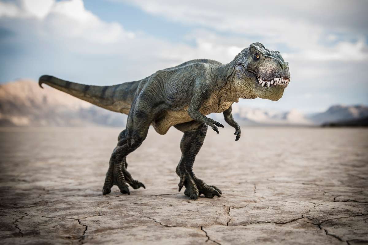 T-Rex developed tiny arms to stop them getting bitten off by rivals