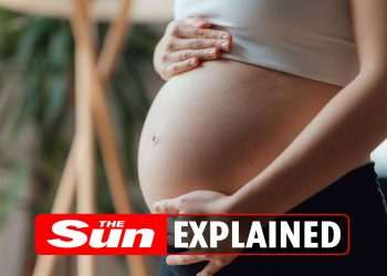 Can you eat mozzarella when pregnant?