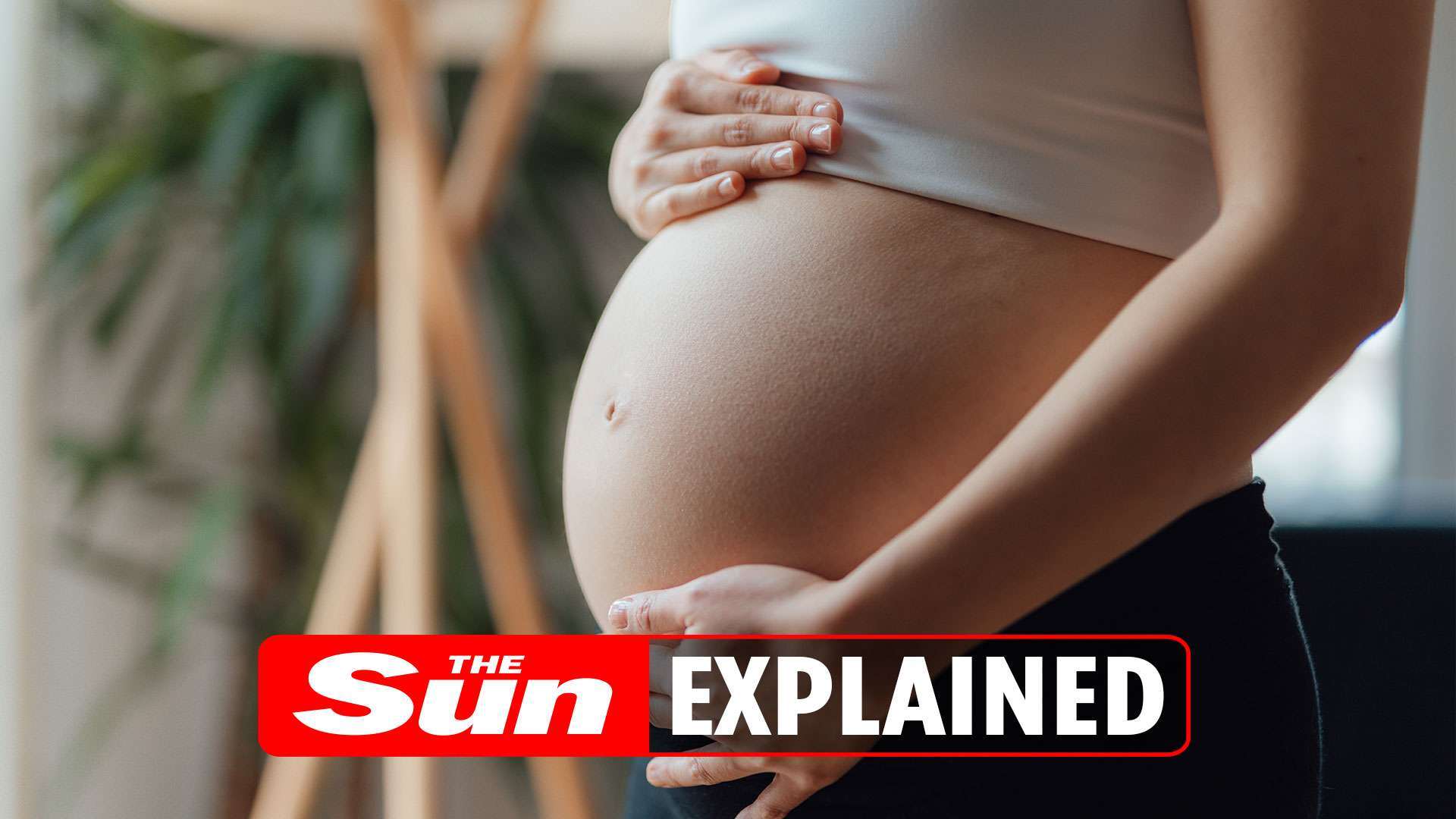 Can you eat mozzarella when pregnant?