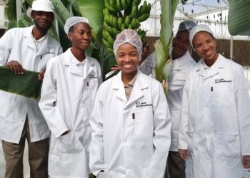 Namibia Goes Bananas for Hydroponics Invents New Technology