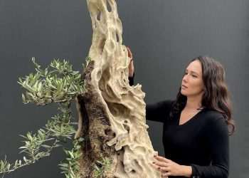 Interview with famous Environmental Artist and scientist Dr.Kasia Sterriker-min