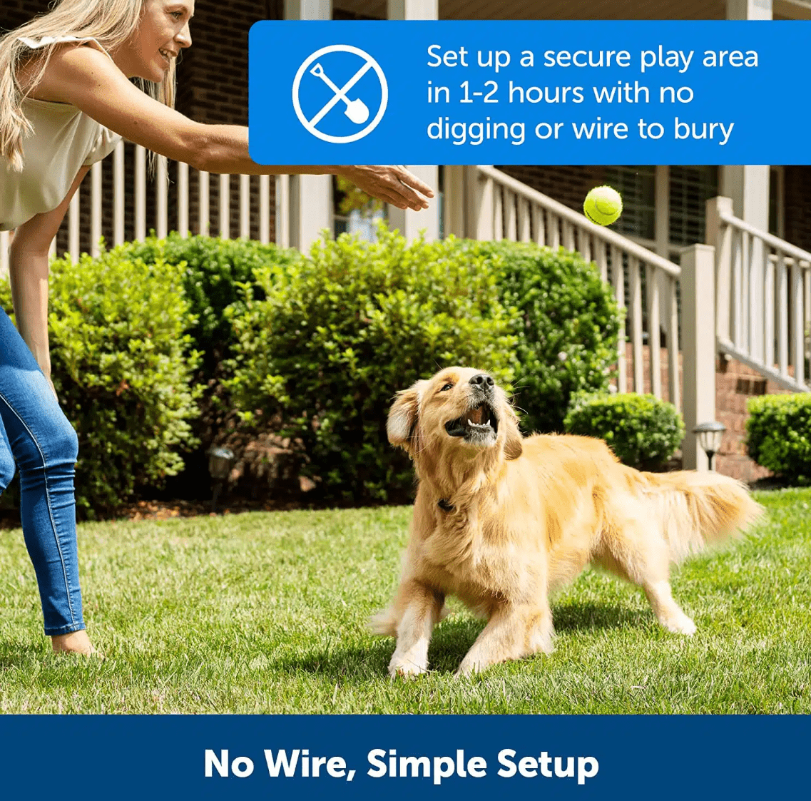 Very useful wireless dog fence for your information