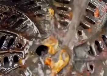 How to clean your air fryer, plus 6 surprising items that can go inside