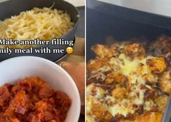 I made a full meal for a family of four in an Air Fryer and it only cost me £5
