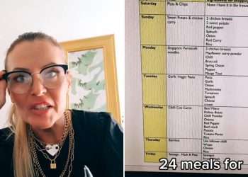 I’m a thrifty mum-of-two, here’s my exact shopping list which gets us get 24 meals for four for under £30