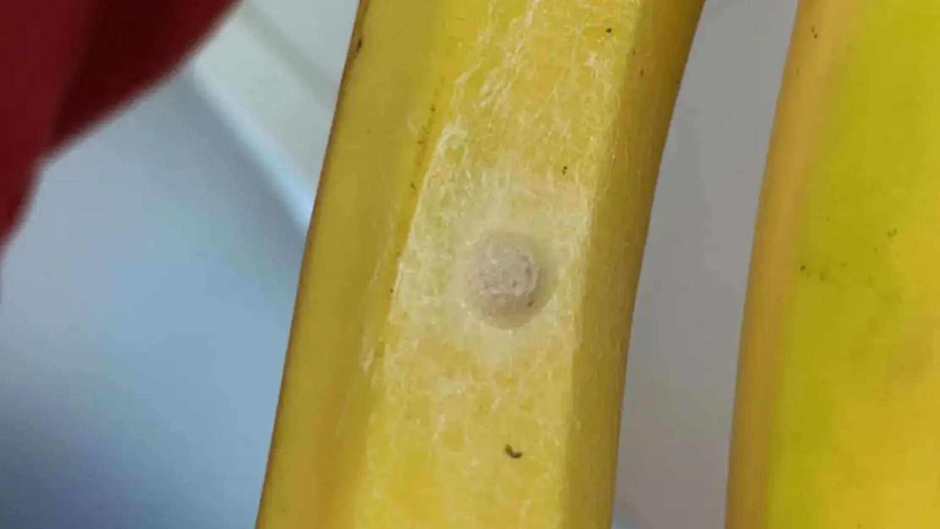 Woman left baffled by ‘mystery white nest’ on her Asda bananas is horrified when she learns what it really is