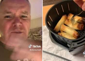 I managed to get my hands on Asda’s £32 air fryer and couldn’t wait to test it out – here’s how it went