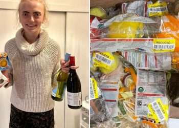 I’m a supermarket sleuth – from Sainsbury to Tesco here’s how to get Christmas dinner for a FIVER…&, yes booze included