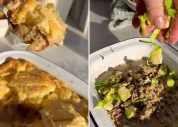 I’ve found the perfect recipe for your Christmas dinner leftovers – these pies are so easy to make and taste amazing