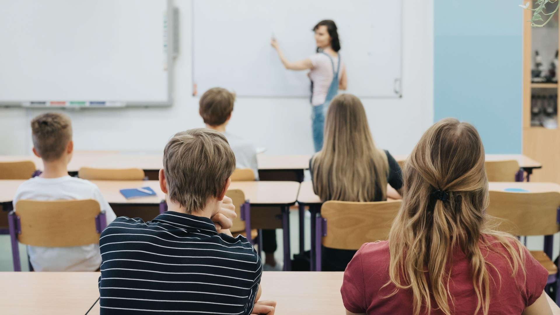 The new trans guidelines for schools are sensible and moderate even to a fault – the Left’s rage over them is demented