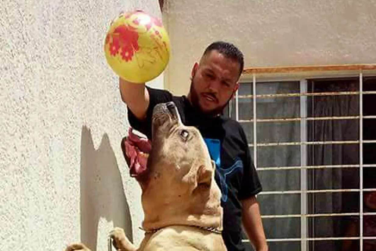 Breeder of XL Bully ‘Killer Kimbo’ who spawned explosion of vicious beasts says ‘they’re only deadly’ if given steroids