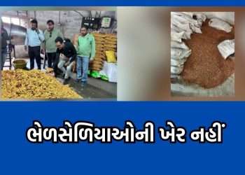 Direct action will be taken against the corrupt elements of Rajkot, order to seal the unit before FSL report, 6 months of action, questions were raised