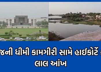 High Court expressed strong displeasure over the slow operation of the 125-year-old bridge from Gondal’s monarchy – video