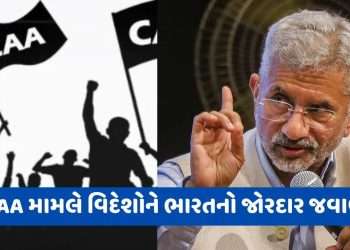 America should not interfere in CAA issue, this is India’s internal matter: External Affairs Ministry