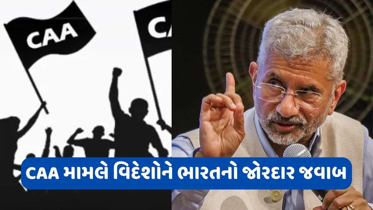 America should not interfere in CAA issue, this is India’s internal matter: External Affairs Ministry