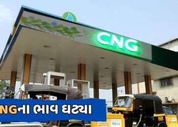 CNG cheaper before Lok Sabha elections, reduced by Rs 2.5 per kg in this city
