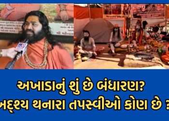 What Mahamandaleshwar Mahendranandgiriji said about the ascetics disappearing after the royal bath in Mrigikund in Bhavnath and the structure of the Akhara – watch video