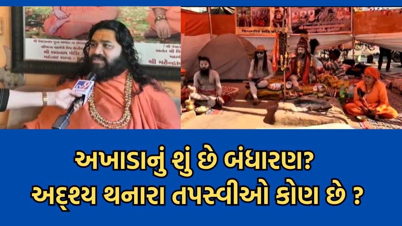 What Mahamandaleshwar Mahendranandgiriji said about the ascetics disappearing after the royal bath in Mrigikund in Bhavnath and the structure of the Akhara – watch video