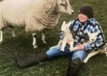 ‘Kind and lovely’ boy, 16, dies after crashing bike on farm where he ‘loved to spend his time’ as family pay tribute