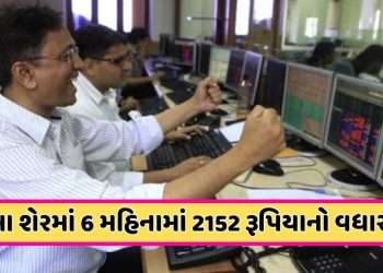 Govt company spoils investors, doubles price in 6 months, 220% increase in share price in one year