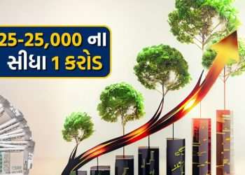If your salary is 25,000 then how to accumulate 1 crore rupees in a short time, know the smart way