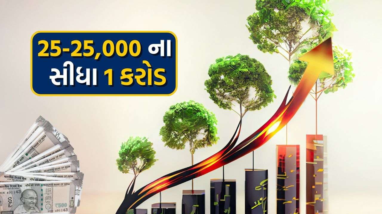 If your salary is 25,000 then how to accumulate 1 crore rupees in a short time, know the smart way
