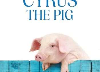 Introducing Cyrus the Pig A Heartwarming and Hilarious Tale of Wit and Wisdom on the Farm
