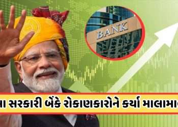 During the tenure of the Modi government, the shares of these state-owned banks rose sharply, these banks have defrauded the investors.