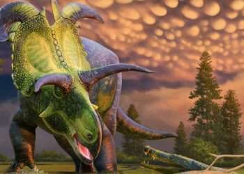 Fearsome new dinosaur discovered with FOUR colossal blade-like horns that roamed Earth 78million years ago