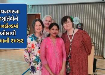 Jami Gujarati garba deployment at the international stage of the cultural program organized in Finland – Watch Video