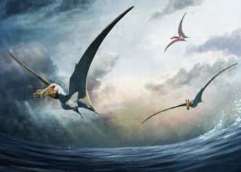 New species of ‘fearsome’ prehistoric flying reptile unearthed with wings as big as an entire giraffe