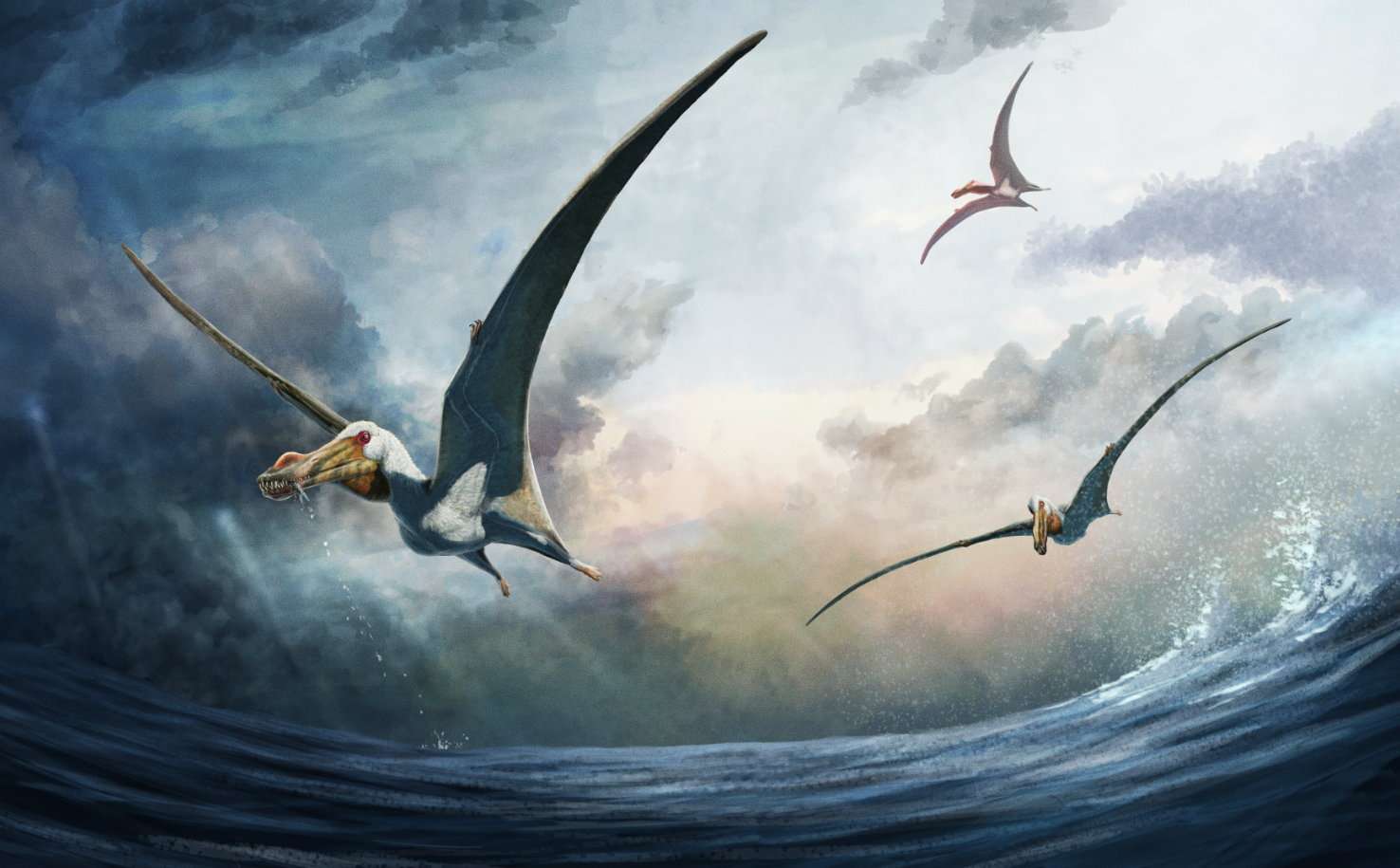 New species of ‘fearsome’ prehistoric flying reptile unearthed with wings as big as an entire giraffe